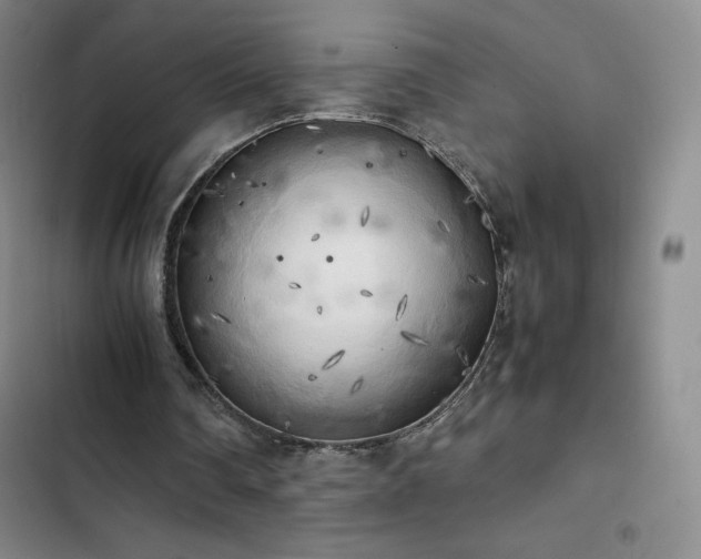X0000102860290200808251233