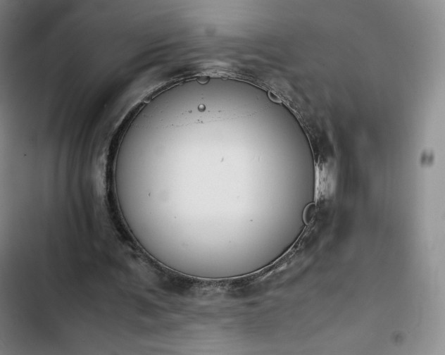 X0000102860291200808251233