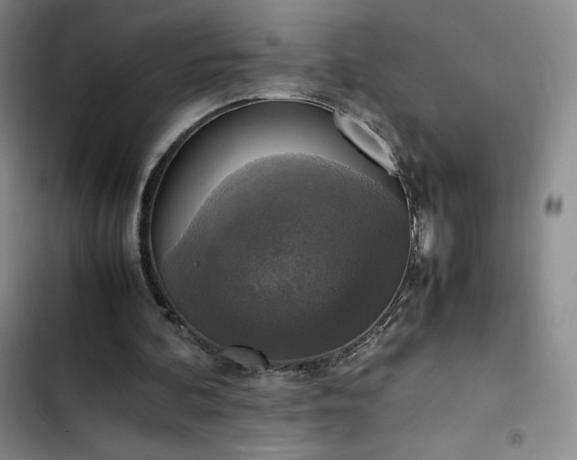 X0000102860292200808251233