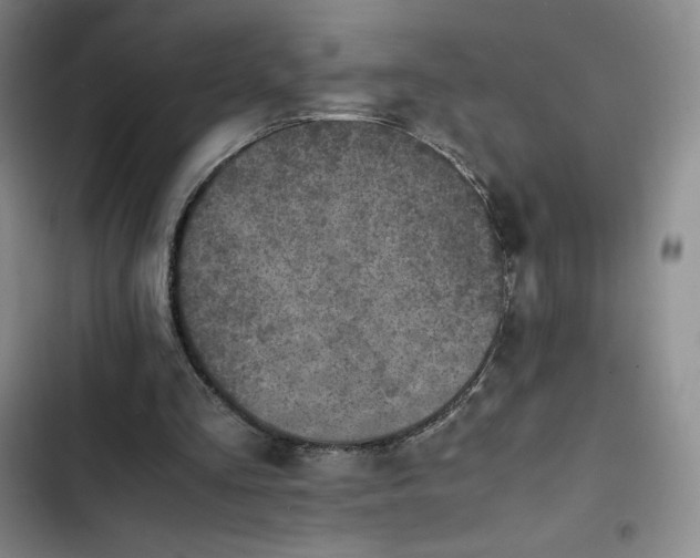 X0000102860293200808251233