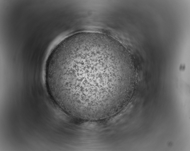 X0000102860294200808251233
