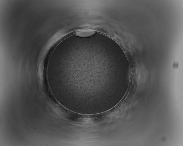 X0000102860295200808251233