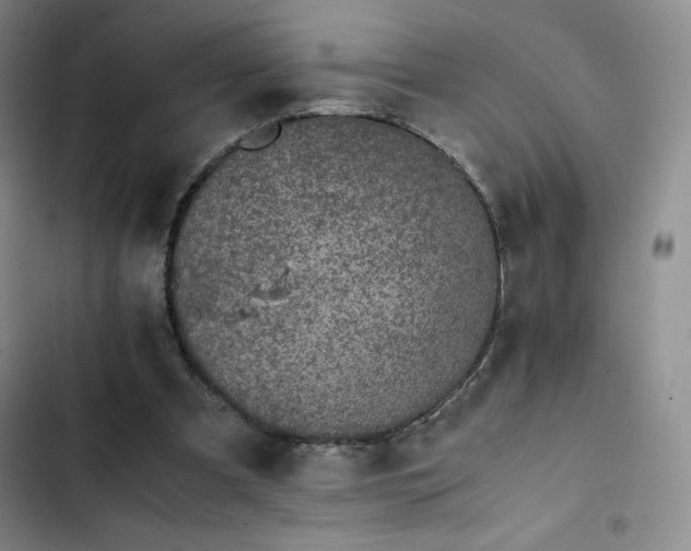 X0000102860297200808251233