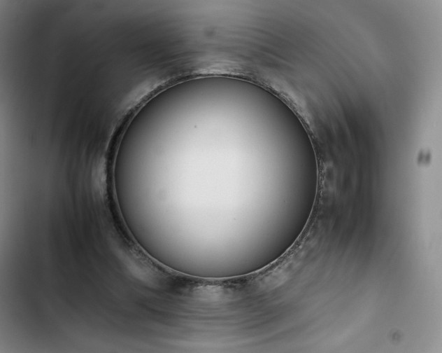 X0000102860298200808251233