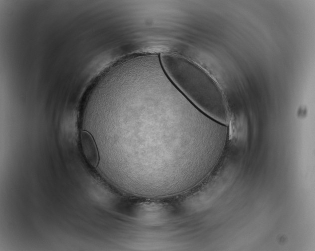 X0000102860300200808251232