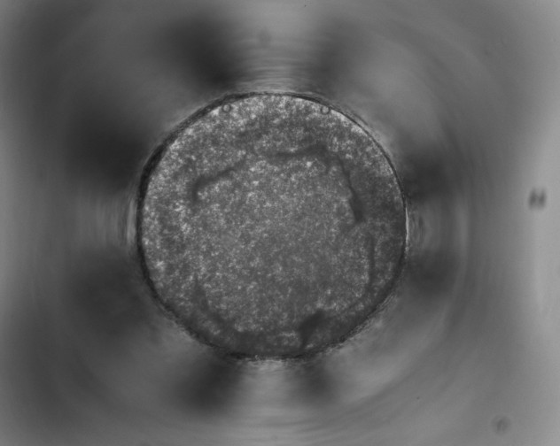 X0000102860301200808251232