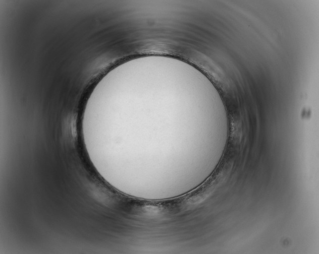 X0000102860302200808251232