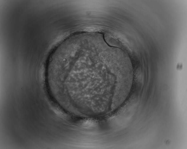 X0000102860303200808251232