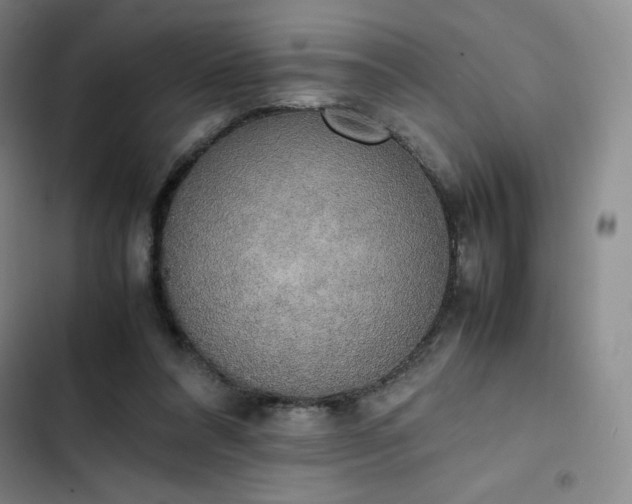 X0000102860304200808251232