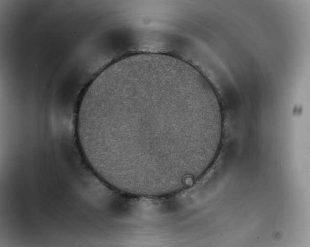 X0000102860305200808251232