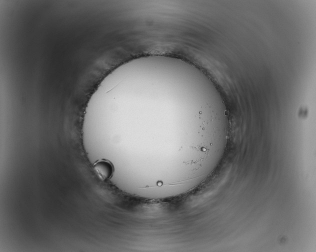 X0000102860307200808251232