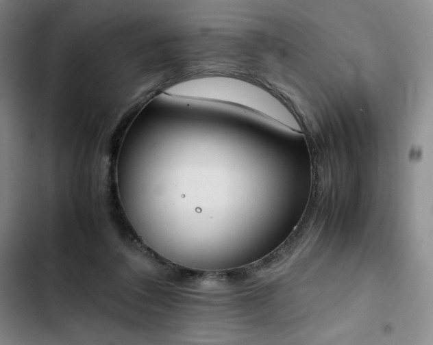 X0000102860308200808251232