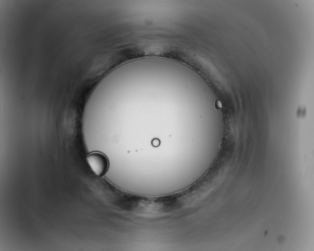 X0000102860311200808251232