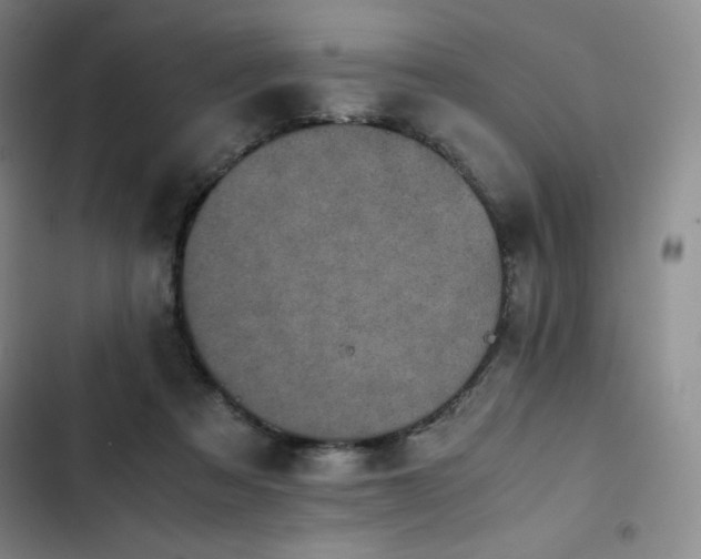 X0000102860313200808251232