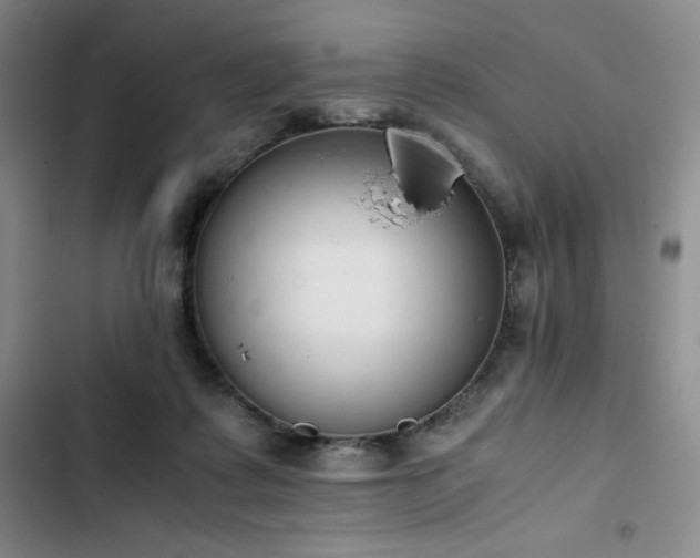 X0000102860315200808251232