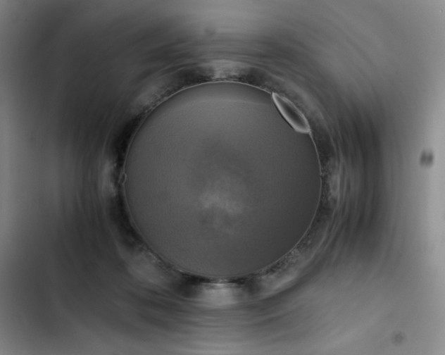 X0000102860316200808251232