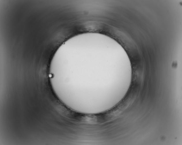 X0000102860317200808251232