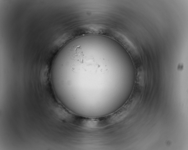 X0000102860318200808251232