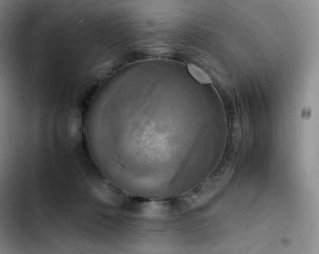 X0000102860320200808251232