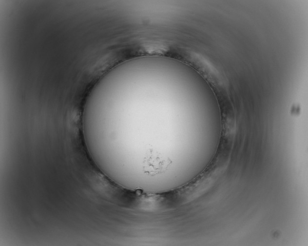 X0000102860321200808251232