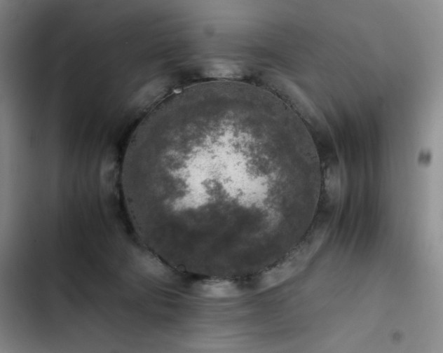 X0000102860322200808251232