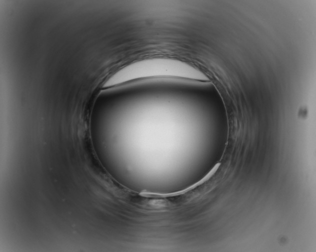 X0000102860324200808251232