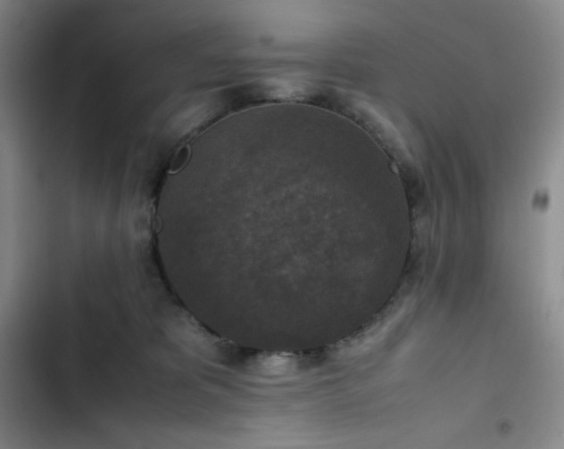 X0000102860325200808251232