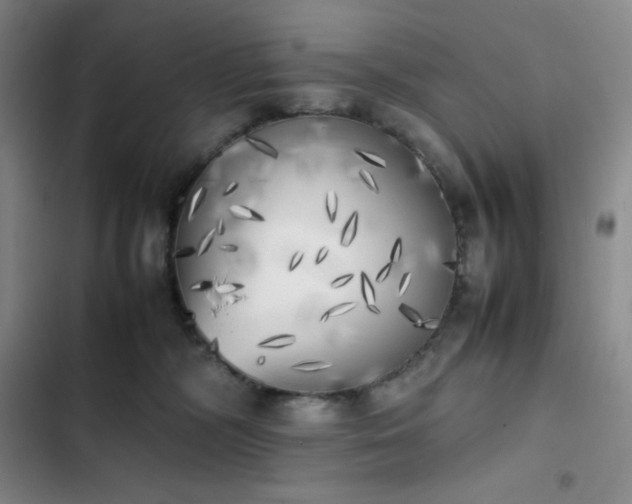 X0000102860326200808251232