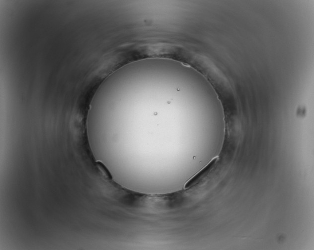 X0000102860327200808251232