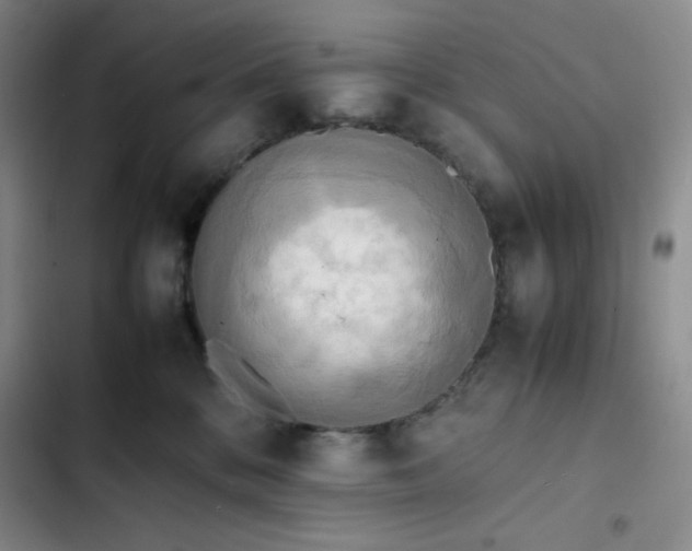 X0000102860328200808251232