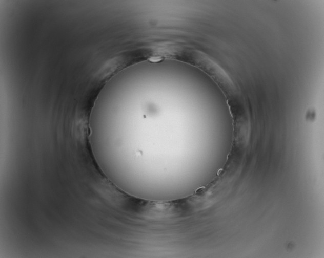 X0000102860329200808251232