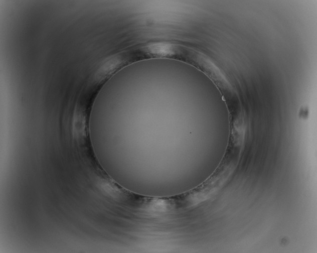 X0000102860330200808251232