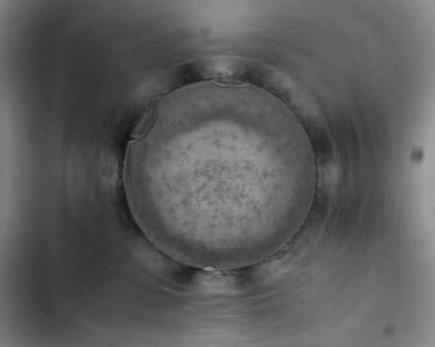 X0000102860331200808251232