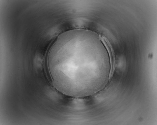 X0000102860332200808251232