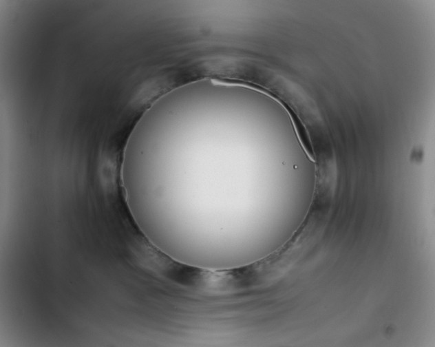 X0000102860333200808251232