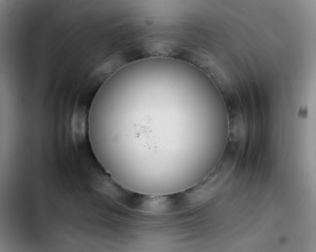 X0000102860334200808251232