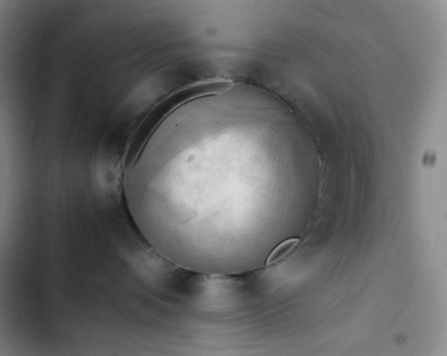 X0000102860336200808251232