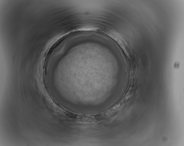 X0000102860337200808251231