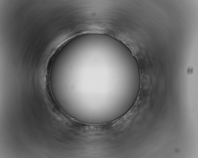 X0000102860338200808251231