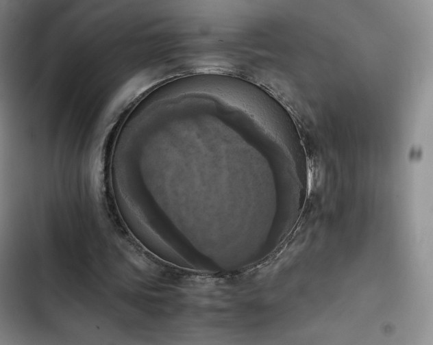 X0000102860339200808251231