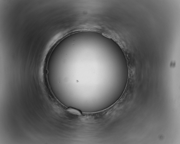 X0000102860340200808251231