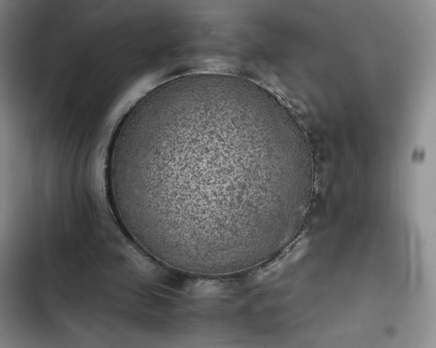 X0000102860341200808251231