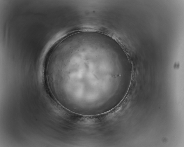 X0000102860343200808251231