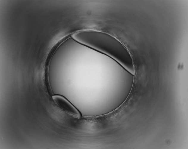 X0000102860344200808251231