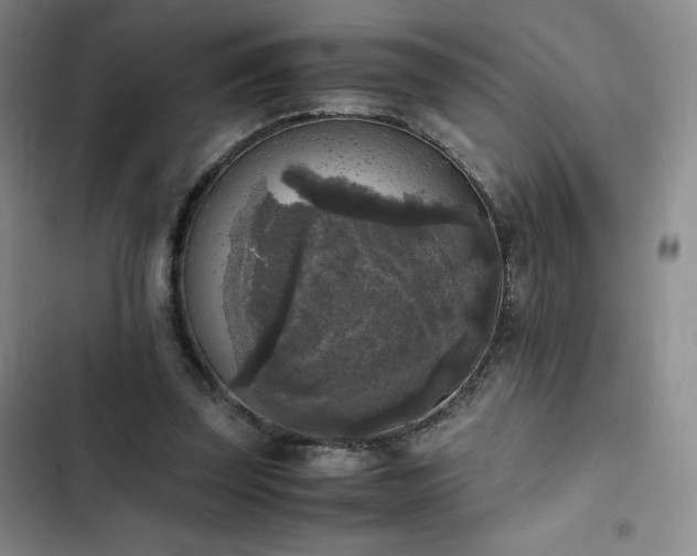 X0000102860347200808251231