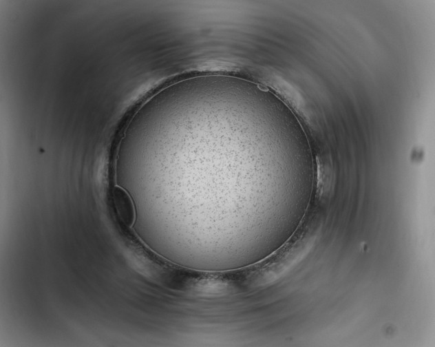 X0000102860348200808251231