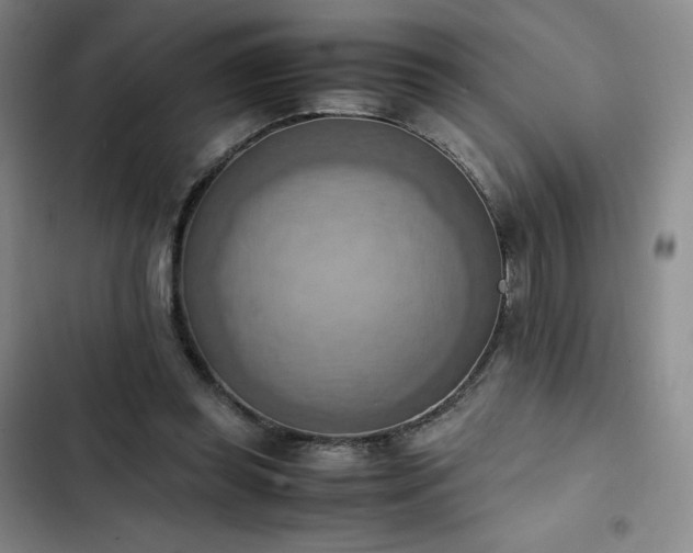 X0000102860349200808251231