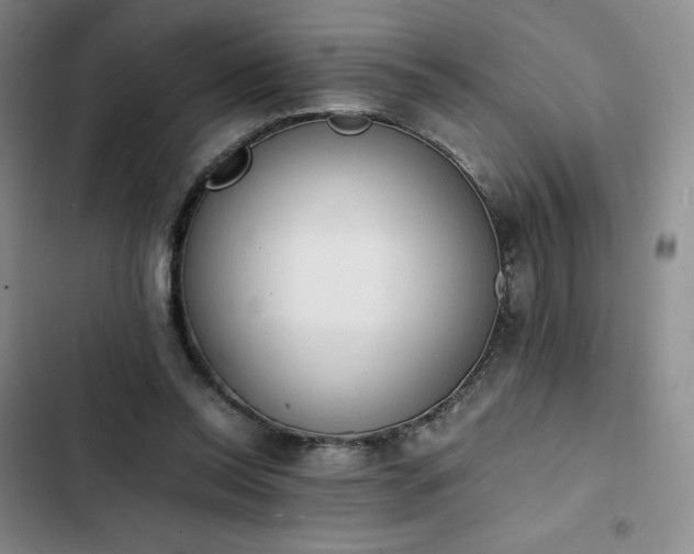 X0000102860350200808251231