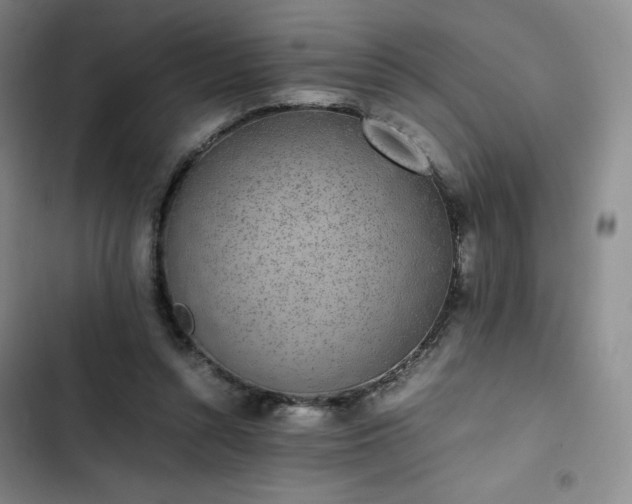 X0000102860352200808251231