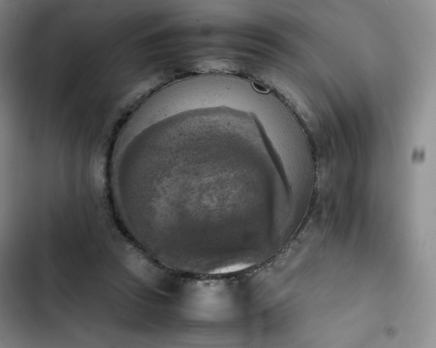 X0000102860353200808251231